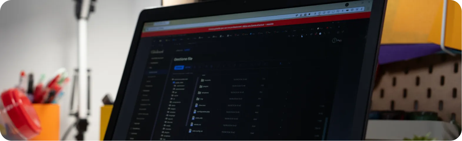 Formazione sul Backend e assistenza